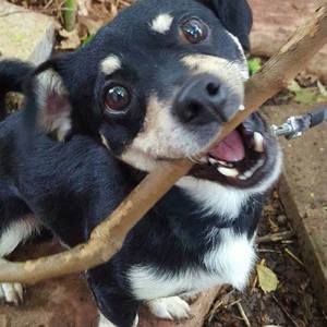 Meet your Posher, Erinn